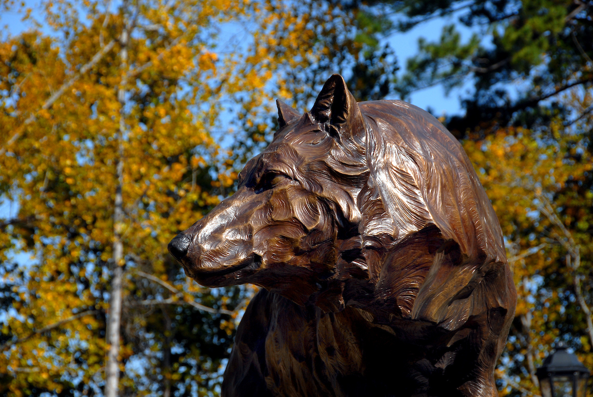 Wolf statue behind Park Alumni Center on Centennial Campus.