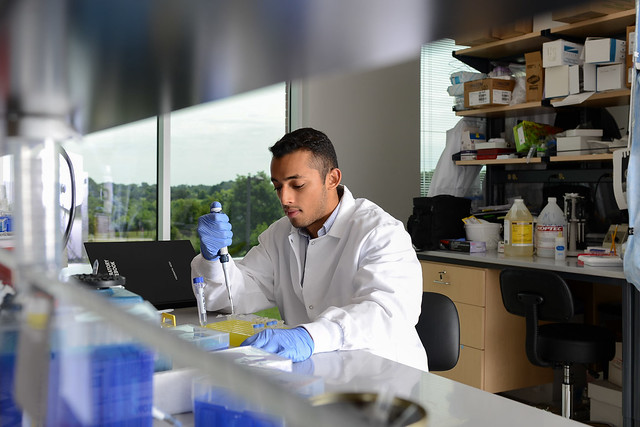 Gupta works on his research in an NC State lab.