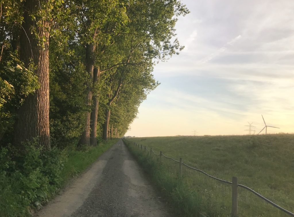 A dirt, country road leads along a path of trees outside of Wilhelmshaven, Germany.