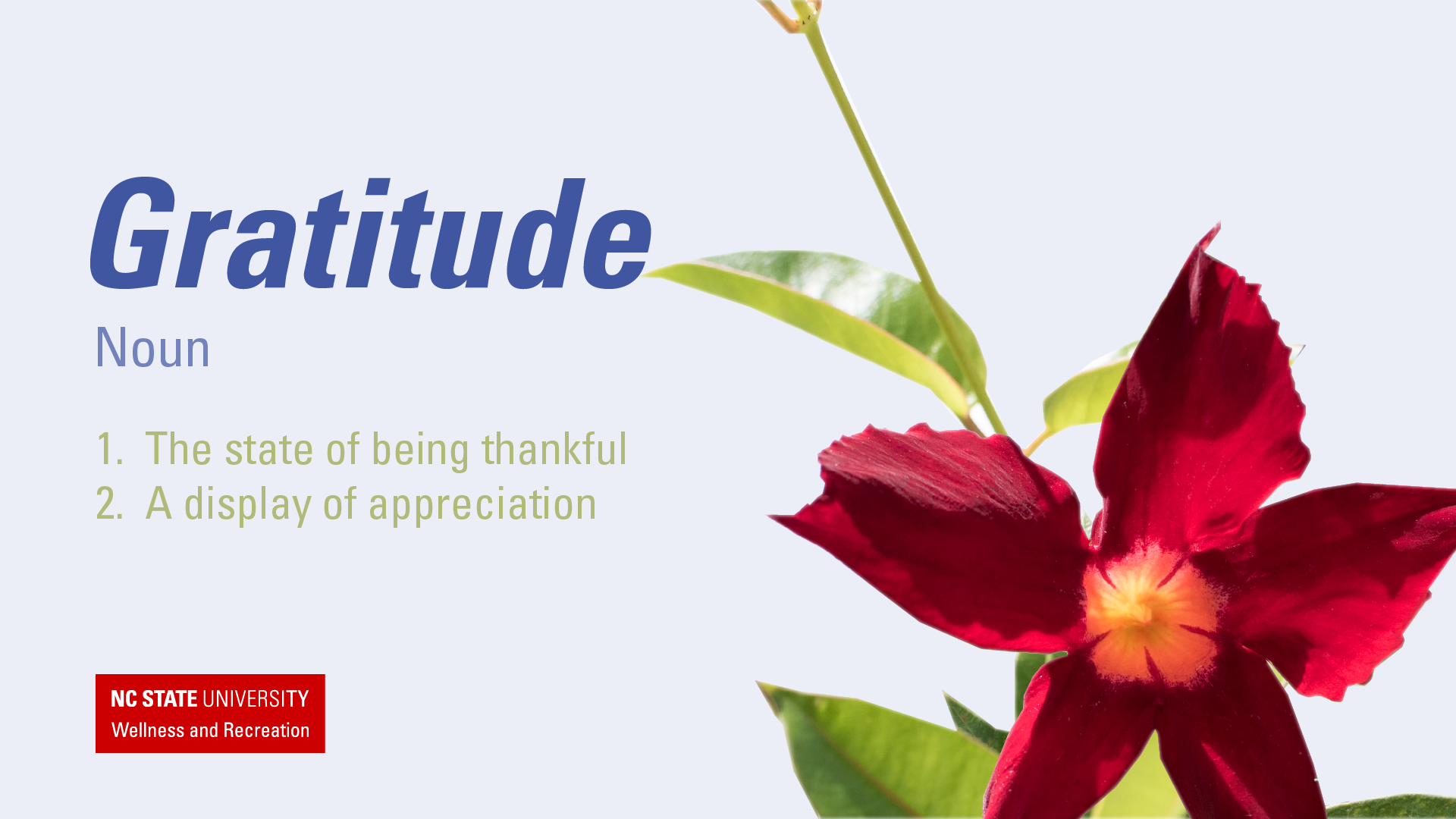 Gratitude Banner