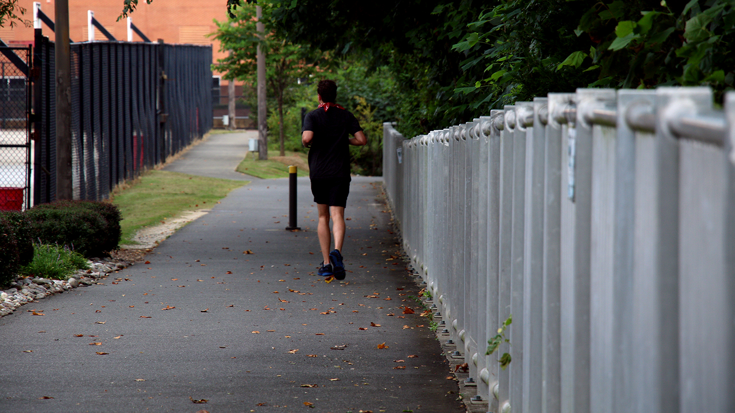 Student walking on greenway near Carmichael Gym