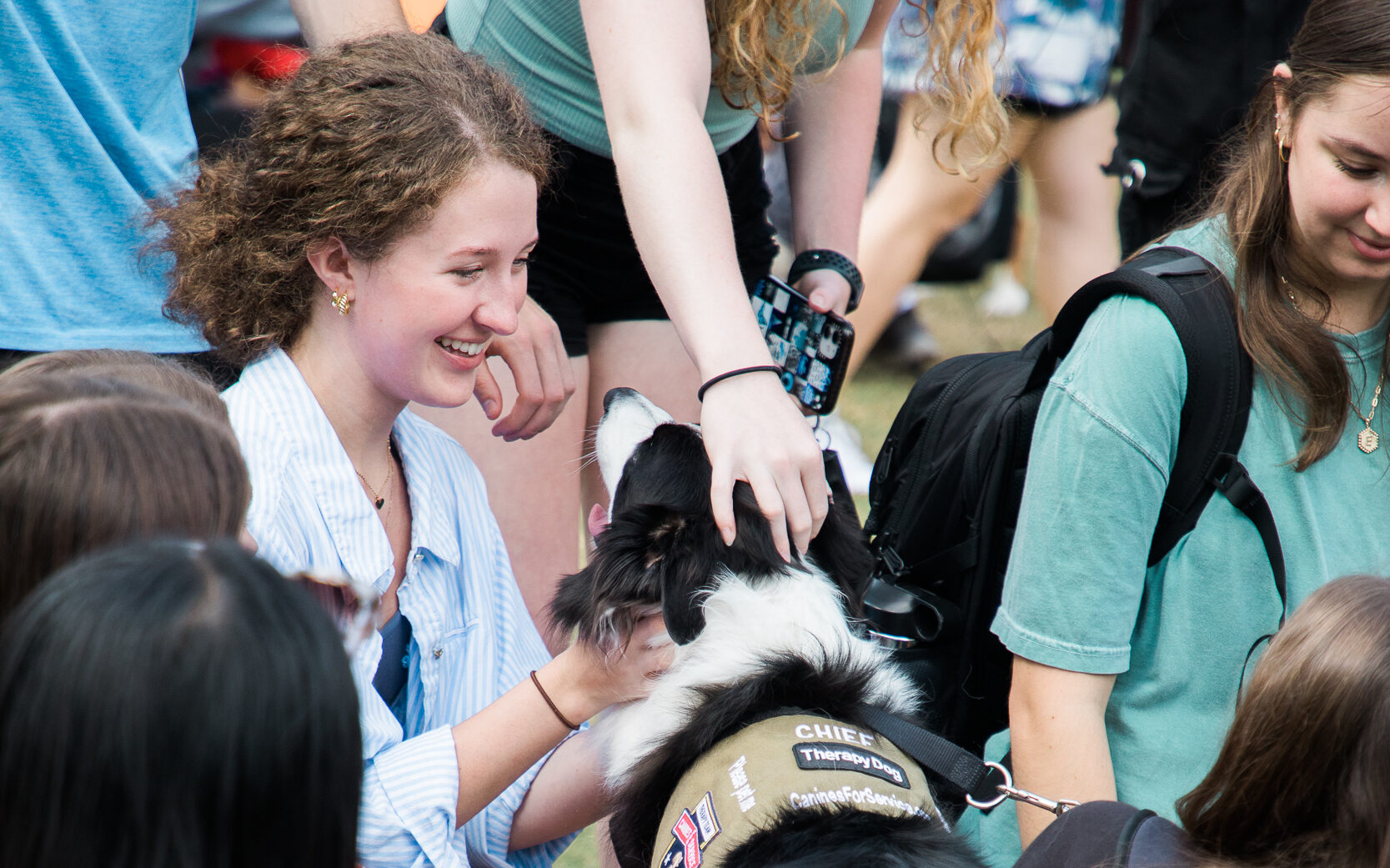 A group of students pet a therapy dog
