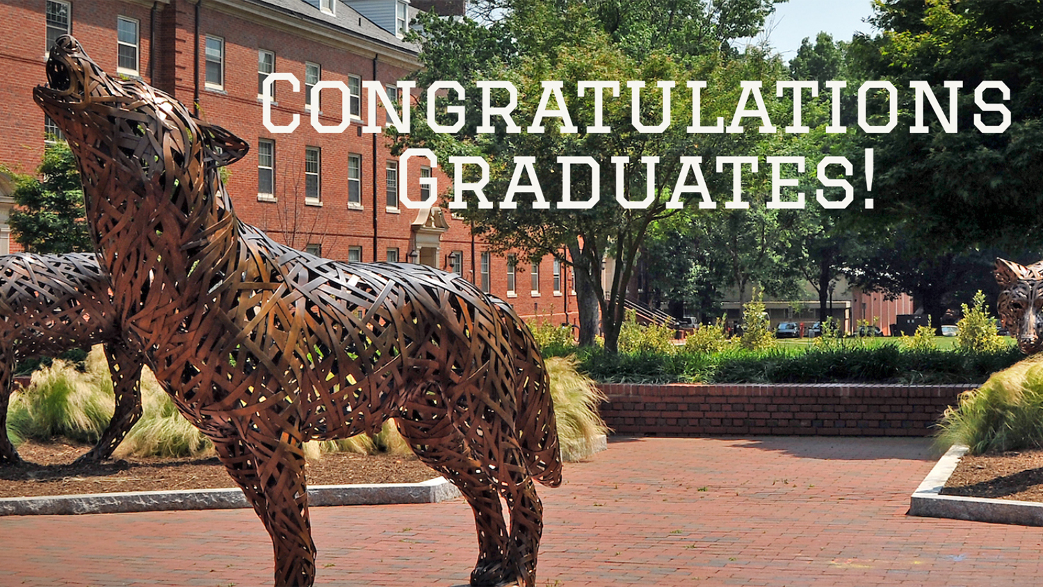 A wolf statue with the embedded words "Congratulations Graduates"