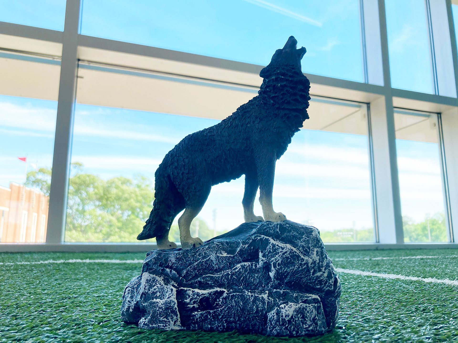 A Wolfie trophy sitting on turf in the Wellness and Recreation Center