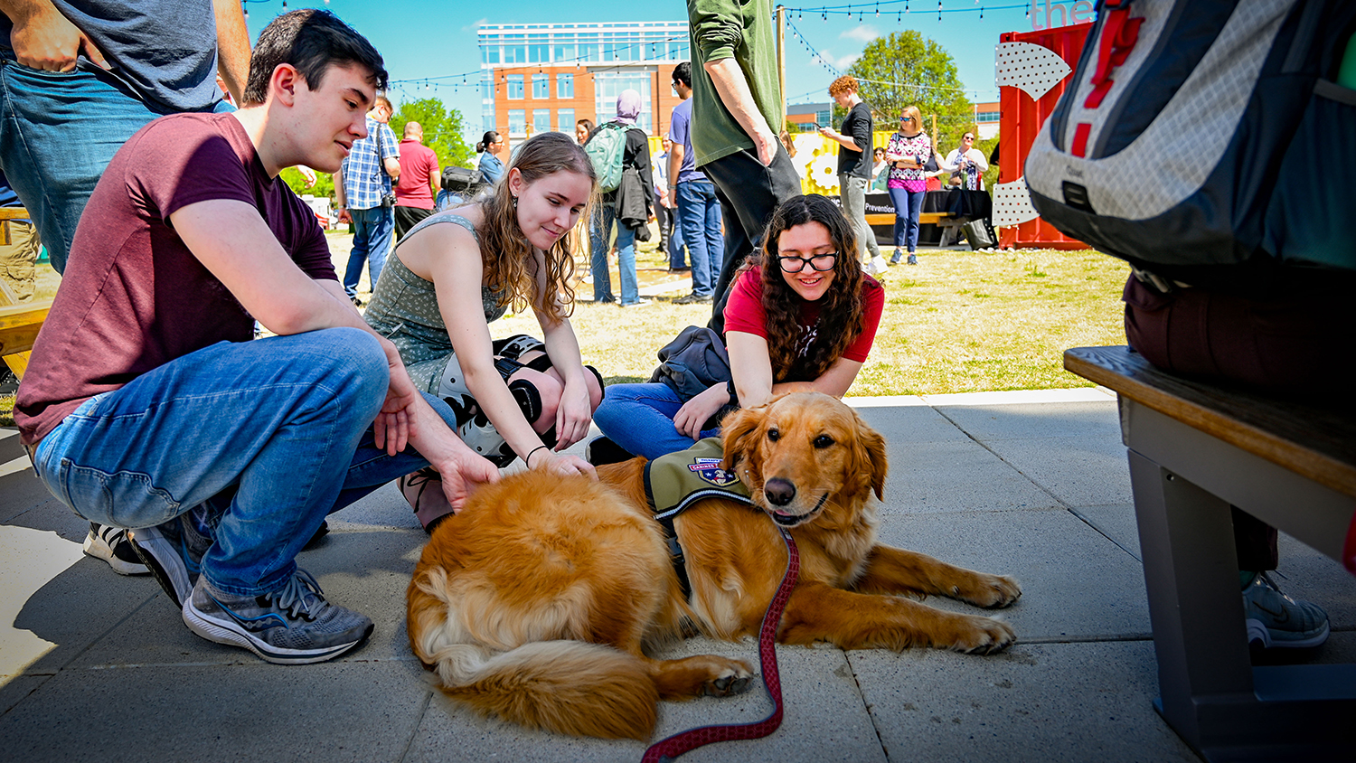 Students pet a golden retriever dog on a sidewalk