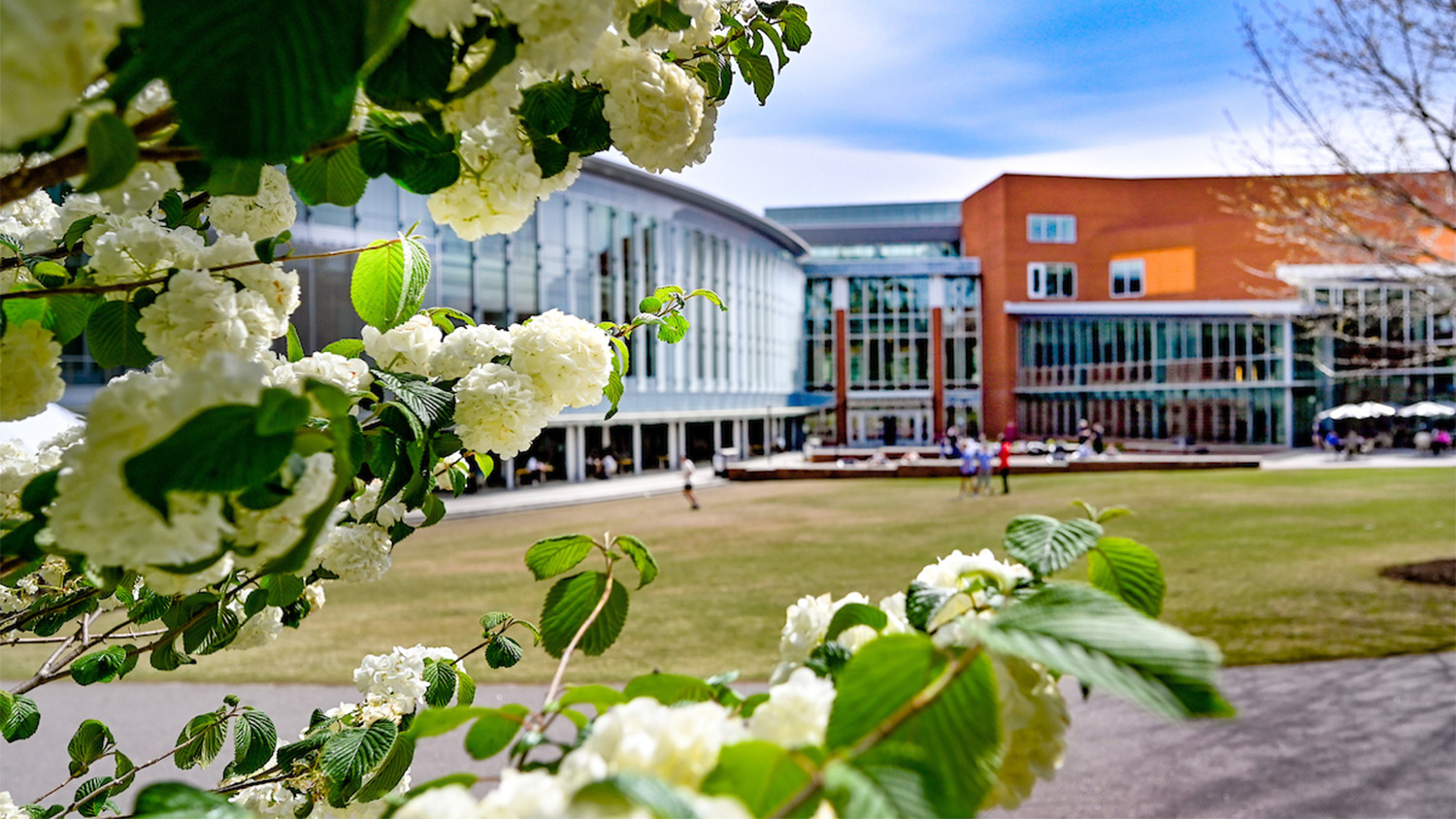 White spring flowers bloom in the foreground with Talley Student Union in the background