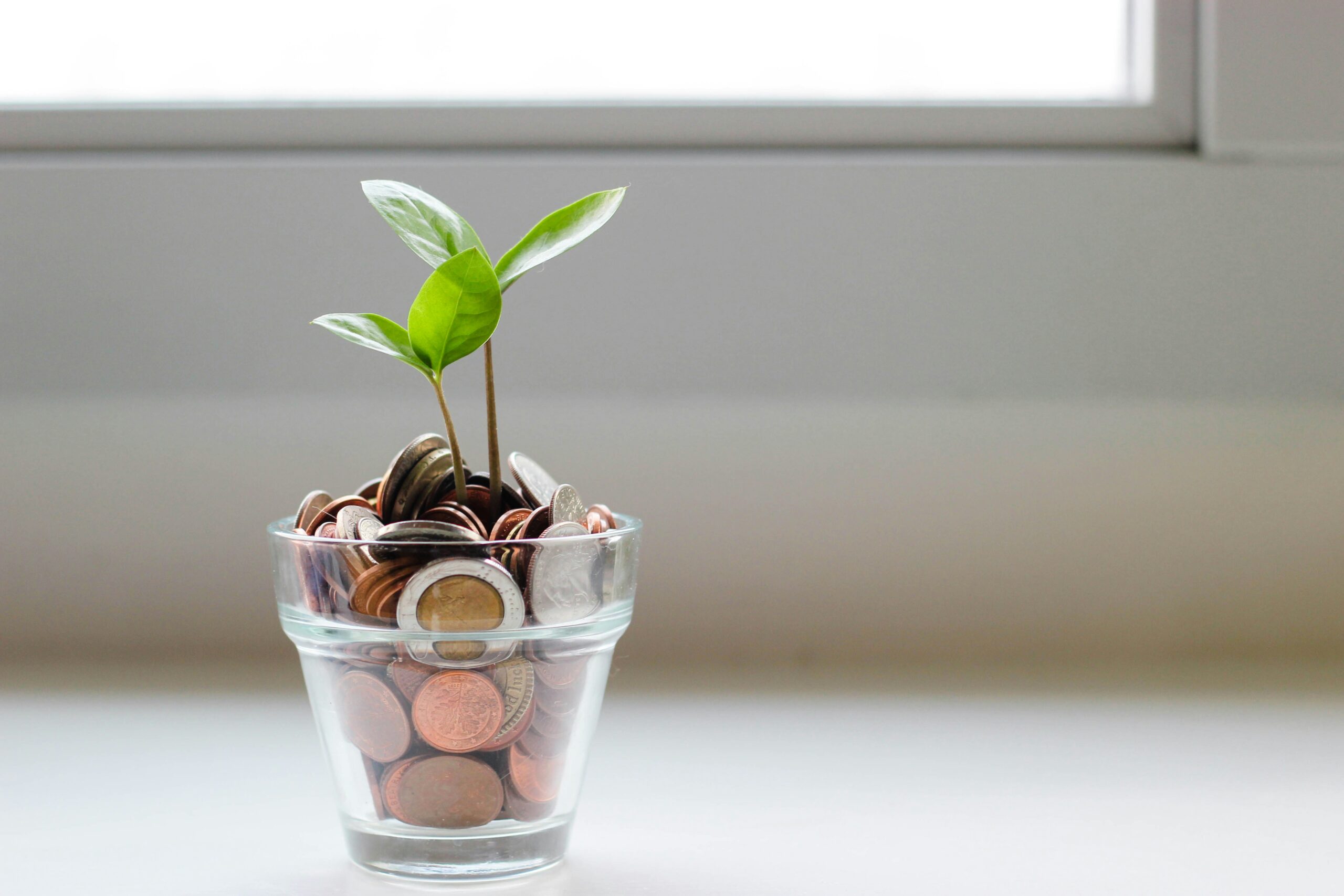 a plants growing out of a jar of coins