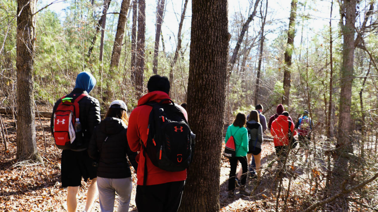 students on a hike in the woods