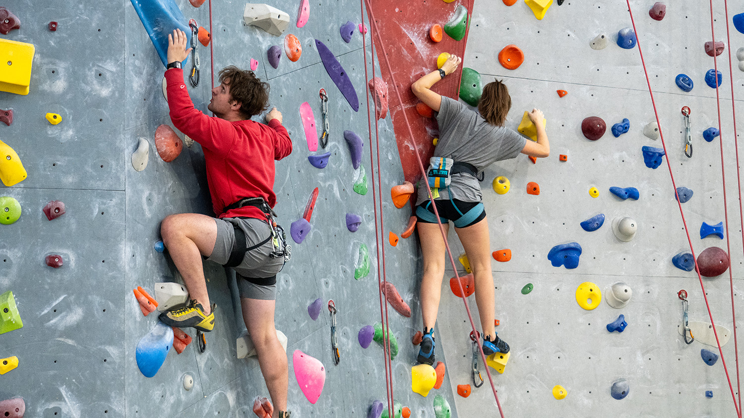 Students scale Wellness and Recreation's climbing wall.