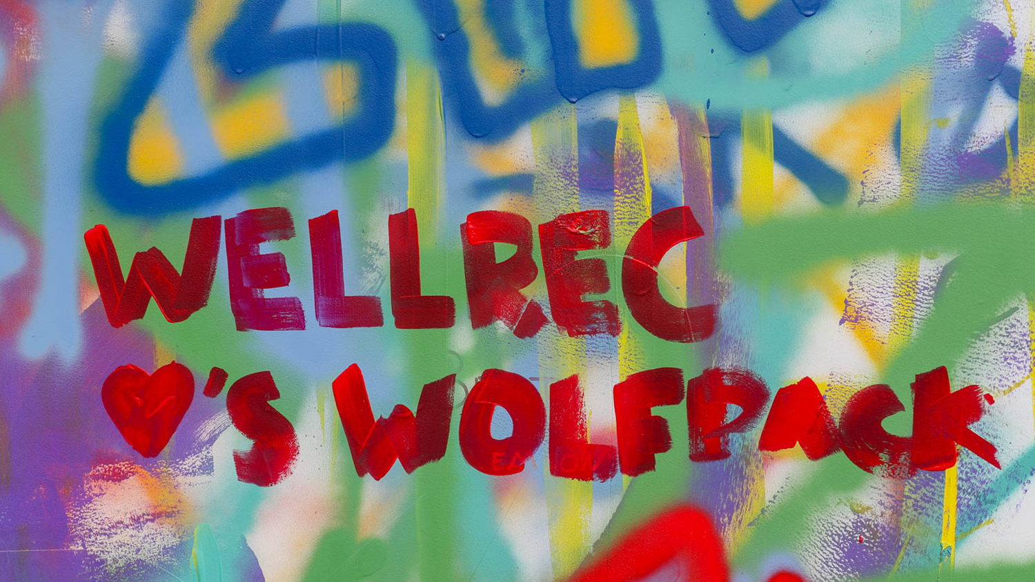 Spray paint on the Free Expression Tunnel that reads "Wellrec Hearts Wolfpack."